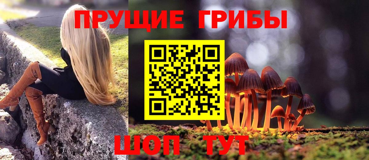 Галлюциногенные грибы GOLDEN TEACHER  Галлюциногенные грибы Magic Shrooms  Карпинск  Вход с VPN 