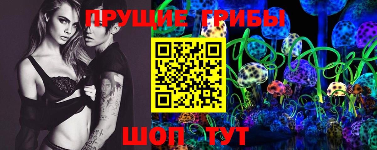 Псилоцибиновые грибы мицелий Карпинск